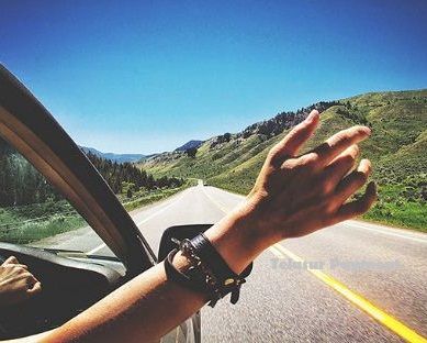 trip travel