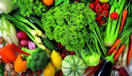 Usaha Jualan Sayur Segar