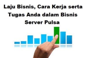 Laju Bisnis, Cara Kerja serta Tugas Anda dalam Bisnis Server Pulsa