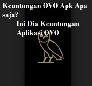 Keuntungan OVO Apk Apa saja? Ini Dia Keuntungan Aplikasi OVO