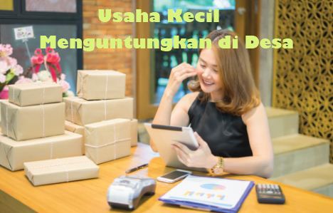 Usaha Kecil Menguntungkan di Desa